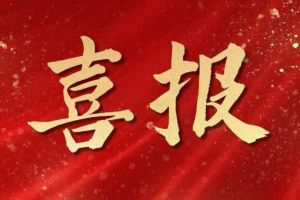雀跃欢呼 | kaiyun.com集团荣膺佬麻雀“最佳战略合作伙伴”