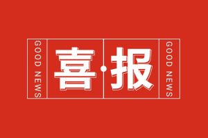 喜报！kaiyun.com集团党支部党建工作荣获多项市级表彰